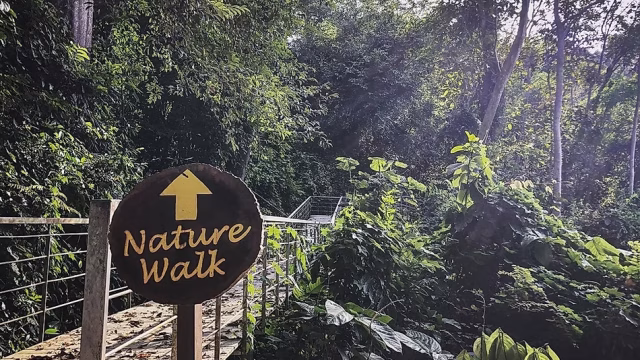 belum rainforest resort, royal belum nature