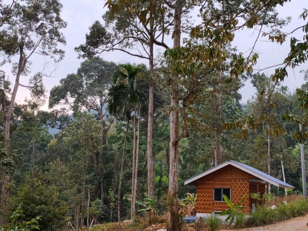 Amazing Camp Legacy: The Ideal Nature Campground for Team Activities Kuak Lenggong Perak Malaysia