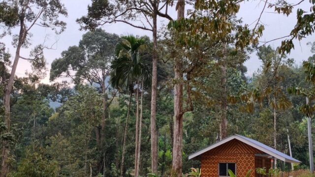 Amazing Camp Legacy: The Ideal Nature Campground for Team Activities Kuak Lenggong Perak Malaysia