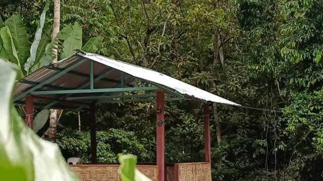 Amazing Camp Legacy: The Ideal Nature Campground for Team Activities Kuak Lenggong Perak Malaysia