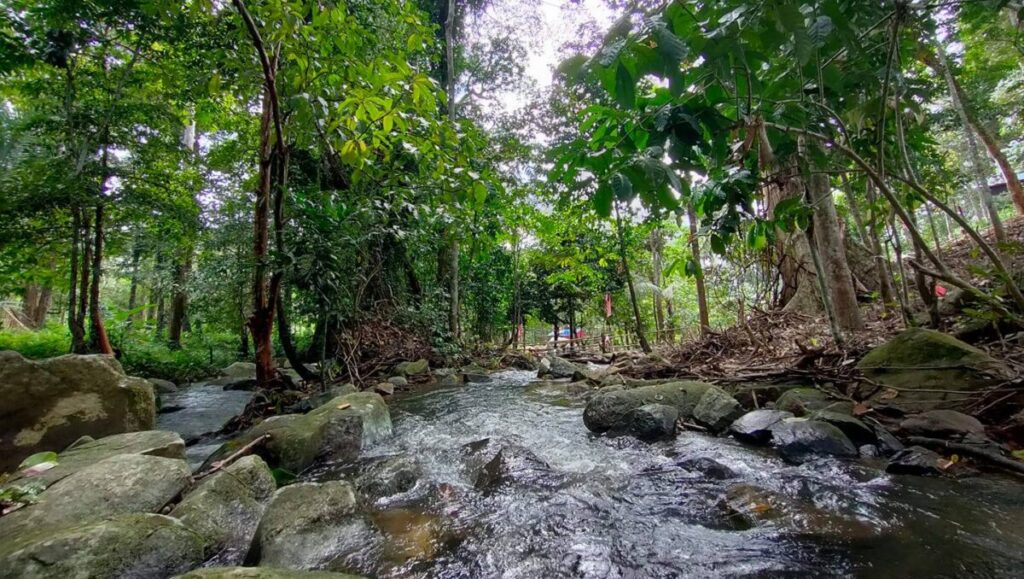 Amazing Camp Legacy: The Ideal Nature Campground for Team Activities Kuak Lenggong Perak Malaysia