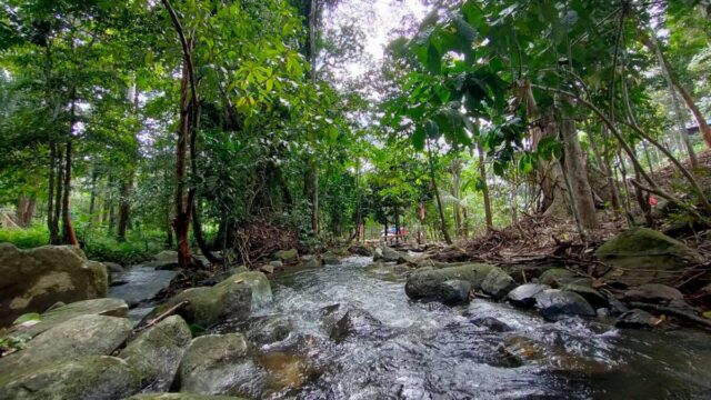 Amazing Camp Legacy: The Ideal Nature Campground for Team Activities Kuak Lenggong Perak Malaysia