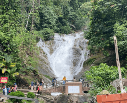 Discover the Charm of Cameron Highlands from Friendly Vacations Sdn Bhd