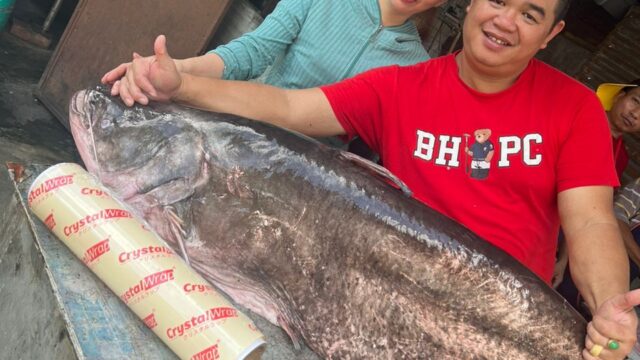 Restoran Lenggong River Fresh Fish - The Ultimate Freshwater Delicacy Experience!