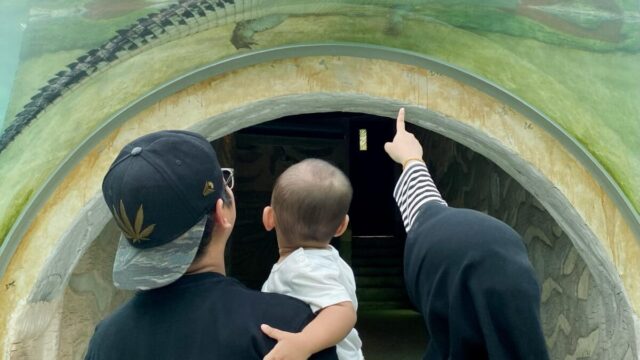 Afamosa SAFARI WONDERLAND family tour