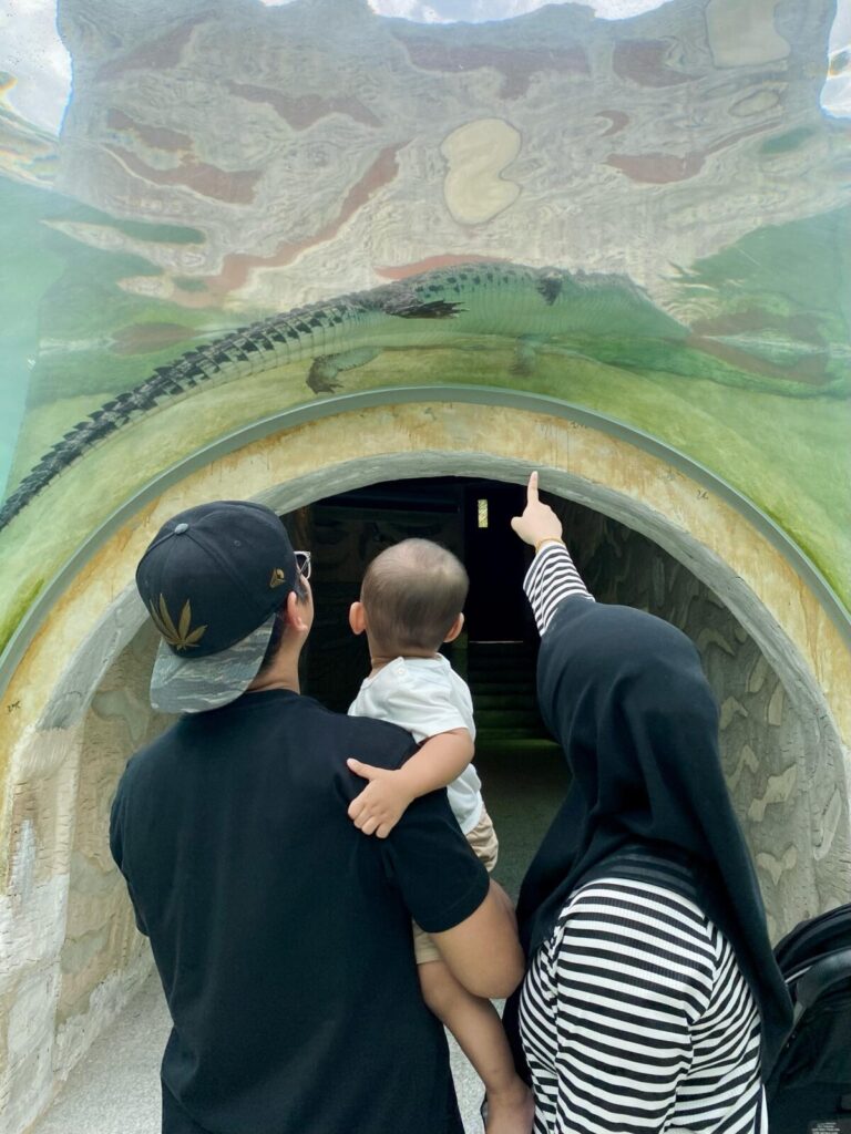 Afamosa SAFARI WONDERLAND family tour