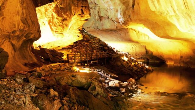 we are a true local host with deep knowledge of Sarawak’s culture, nature, and adventure tourism.