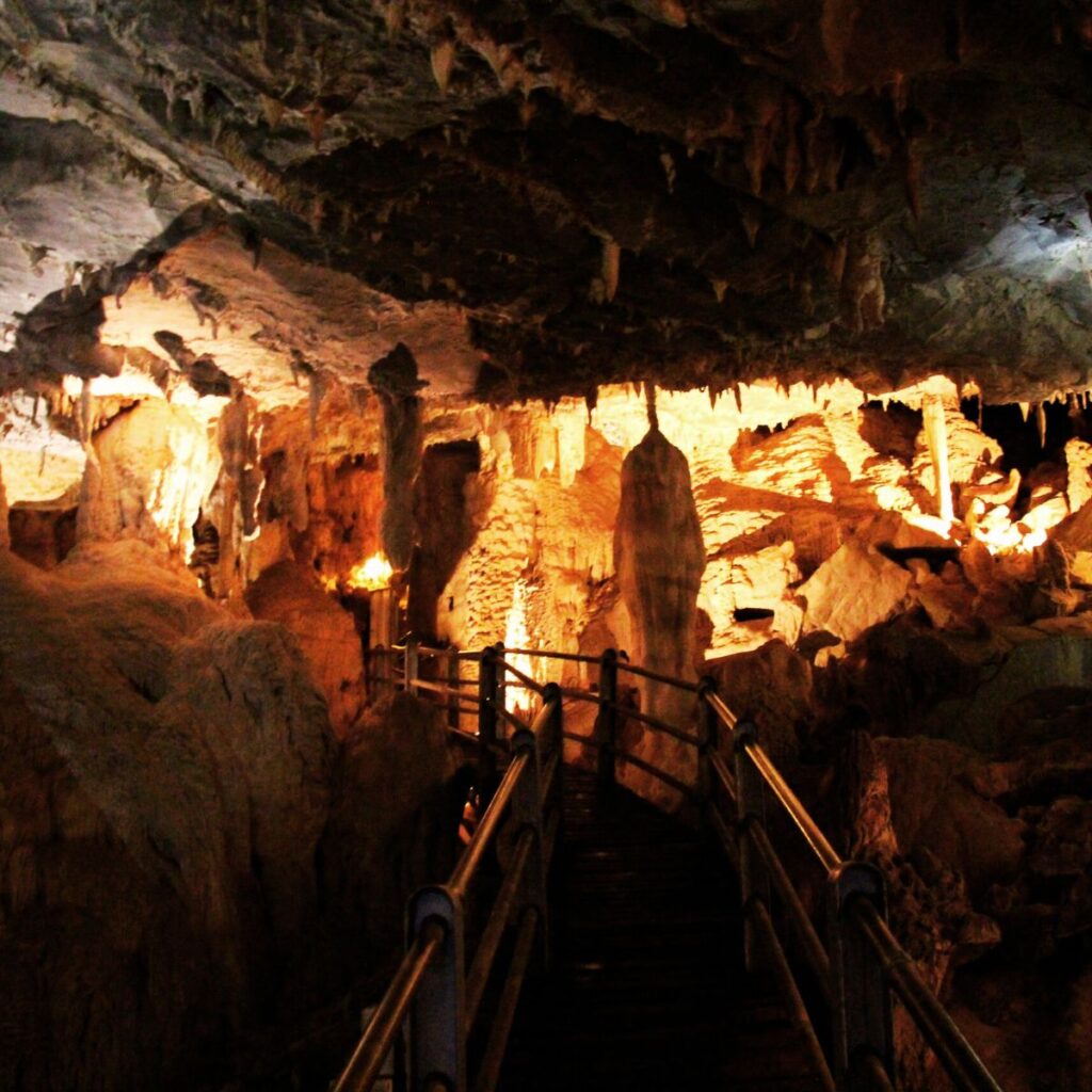 we are a true local host with deep knowledge of Sarawak’s culture, nature, and adventure tourism.