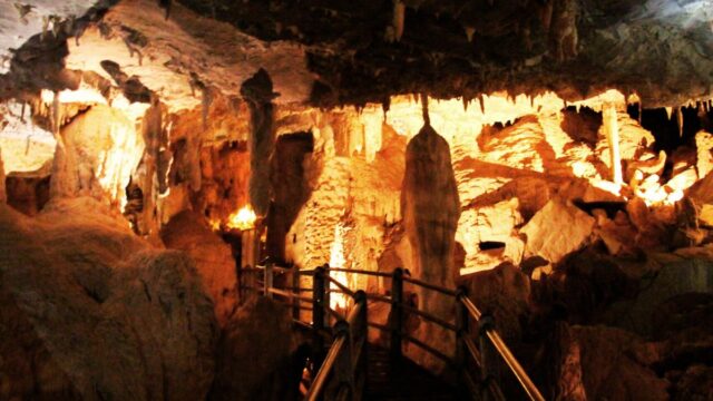 we are a true local host with deep knowledge of Sarawak’s culture, nature, and adventure tourism.