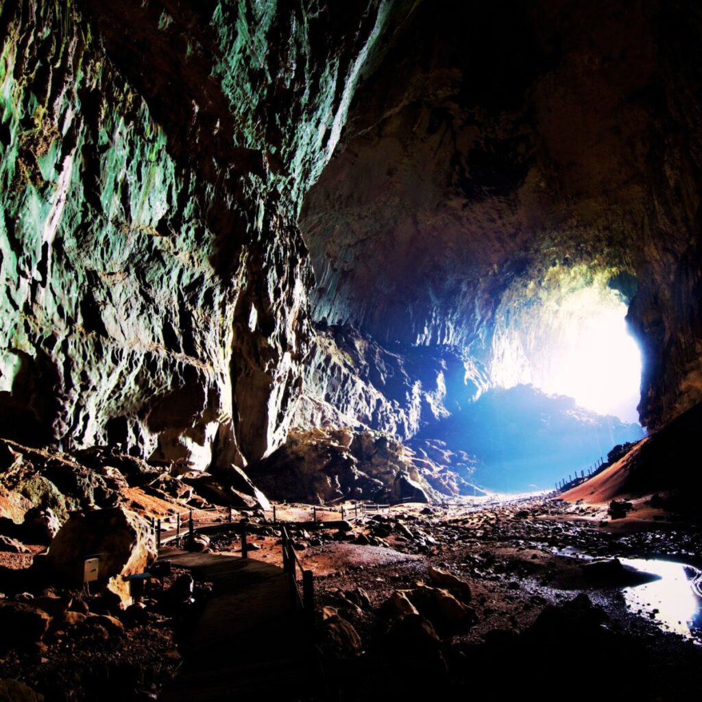 Miri, Gunung Mulu National Park, Niah Caves, Kuching Sarawak tour