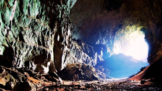 Miri, Gunung Mulu National Park, Niah Caves, Kuching Sarawak tour